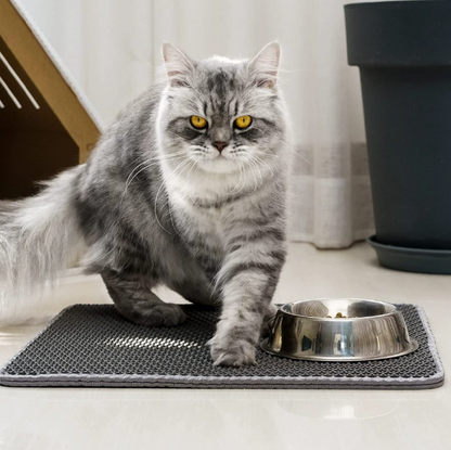 {product_title} - {variant_option} | Premium pet supplies for dogs and cats