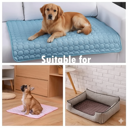 Golden Retriever and French Bulldog using KIRE™ cooling mat on sofa, floor and inside dog bed